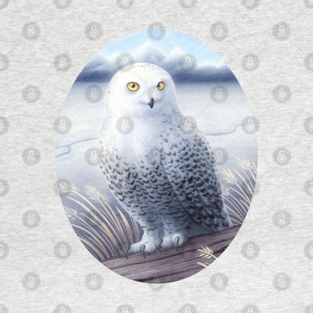 Snowy Owl by DoomedDreamer